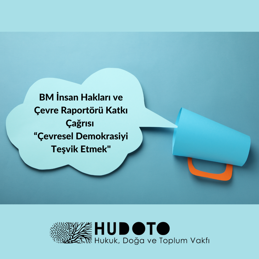 BM İnsan Hakları ve Çevre Raportörü Katkı Çağrısı “Çevresel Demokrasiyi Teşvik Etmek"