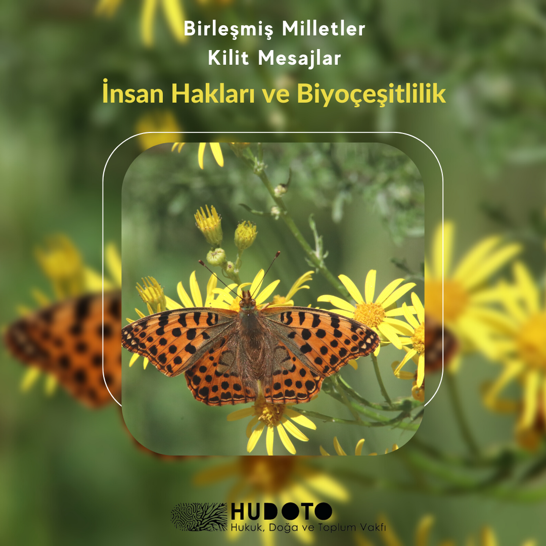 Birleşmiş Milletler İnsan Hakları ve Biyoçeşitlilik Üzerine Kilit Mesajlar