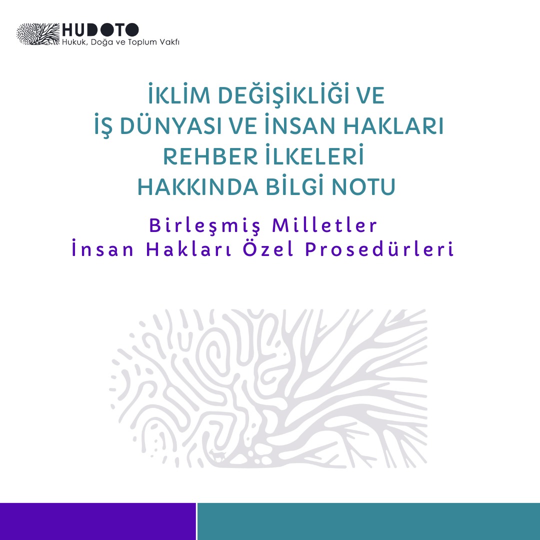İklim Değişikliği ve İş Dünyası ve İnsan Hakları Rehber İlkeleri Hakkında Bilgi Notu