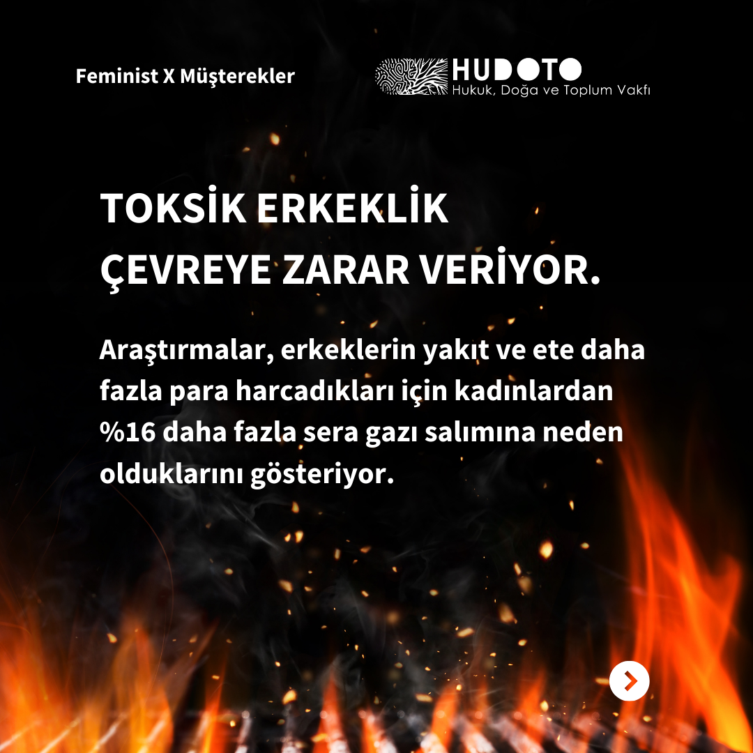 "Toksik Erkeklik Çevreye Zarar Veriyor" adlı çevirimiz yayında!