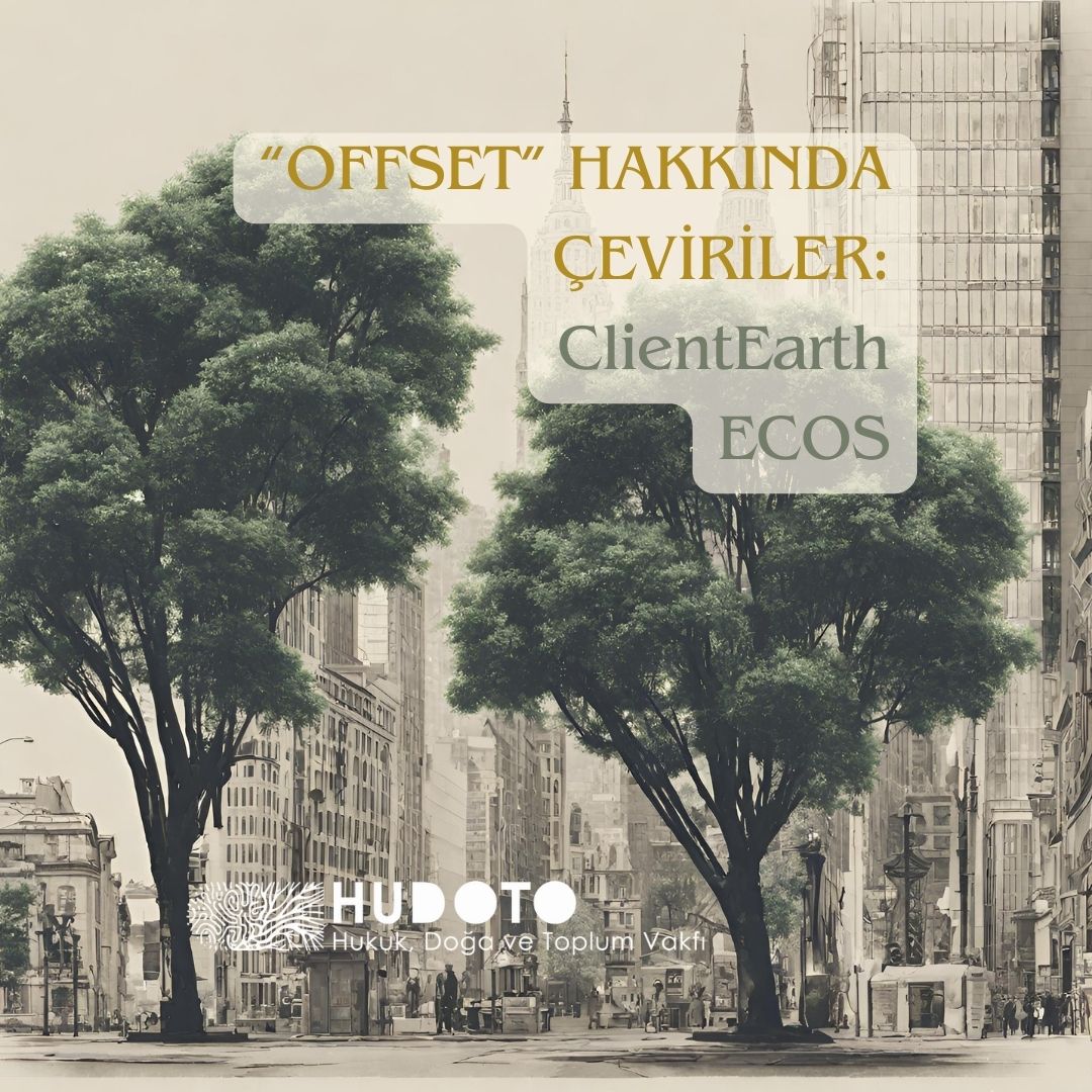Offset Hakkında Çeviriler