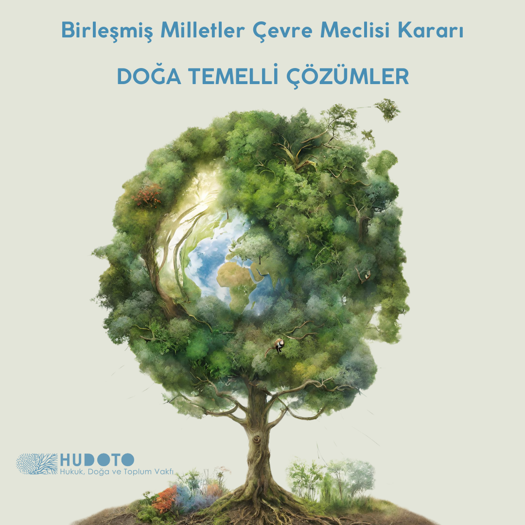 BM Çevre Meclisi Doğa Temelli Çözümler Kararı