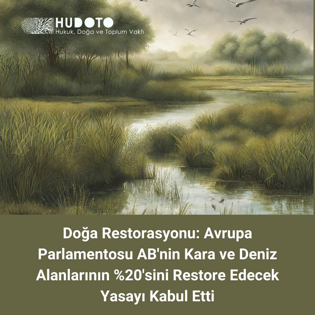 Doğa Restorasyonu: Avrupa Parlamentosu AB'nin Kara ve Deniz Alanlarının %20'sini Restore Edecek Yasayı Kabul Etti