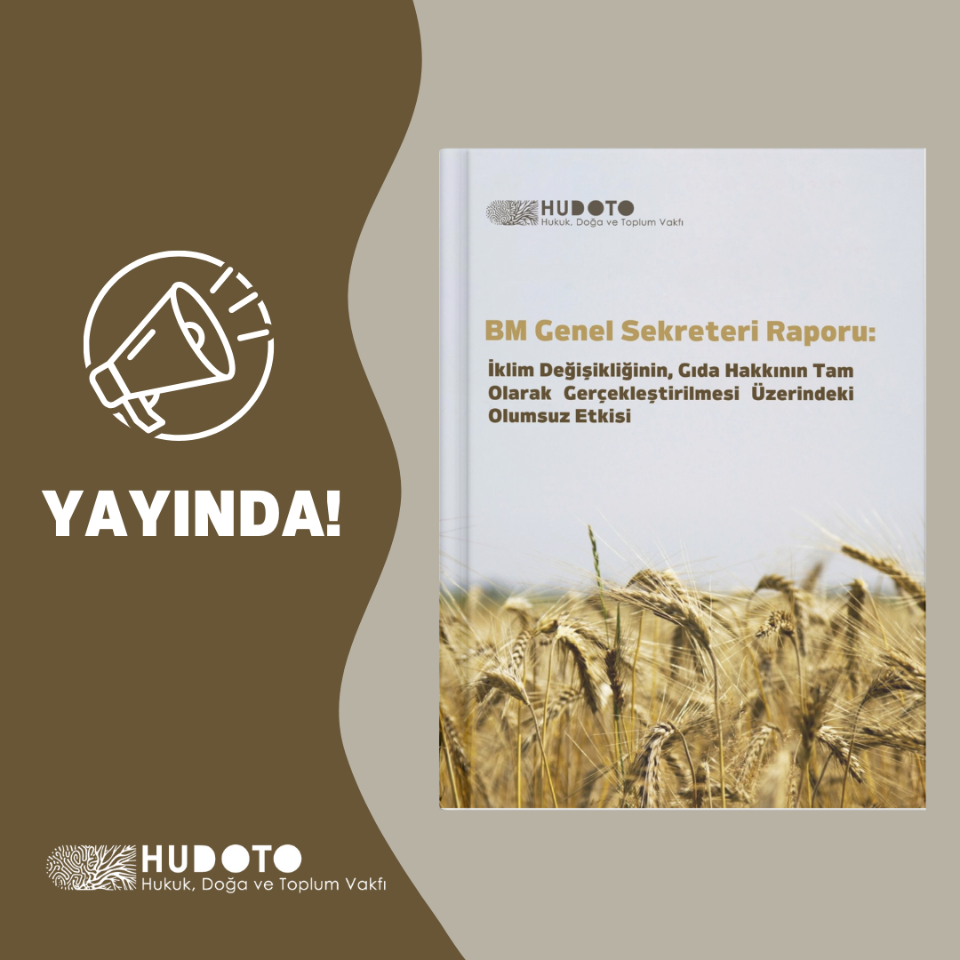 İklim Değişikliğinin Gıda Hakkına Etkisi