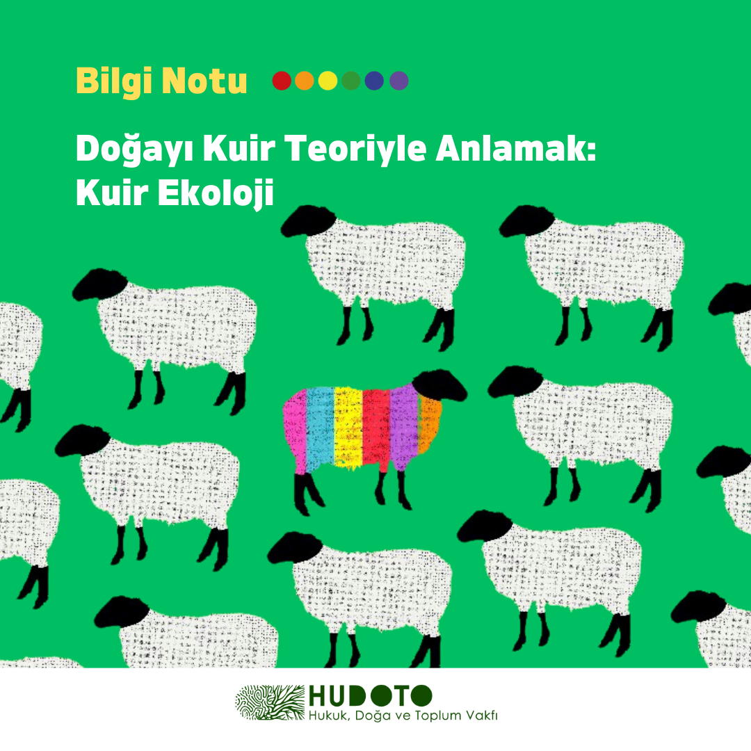 "Doğayı Kuir Teoriyle Anlamak: Kuir Ekoloji" Yayında!