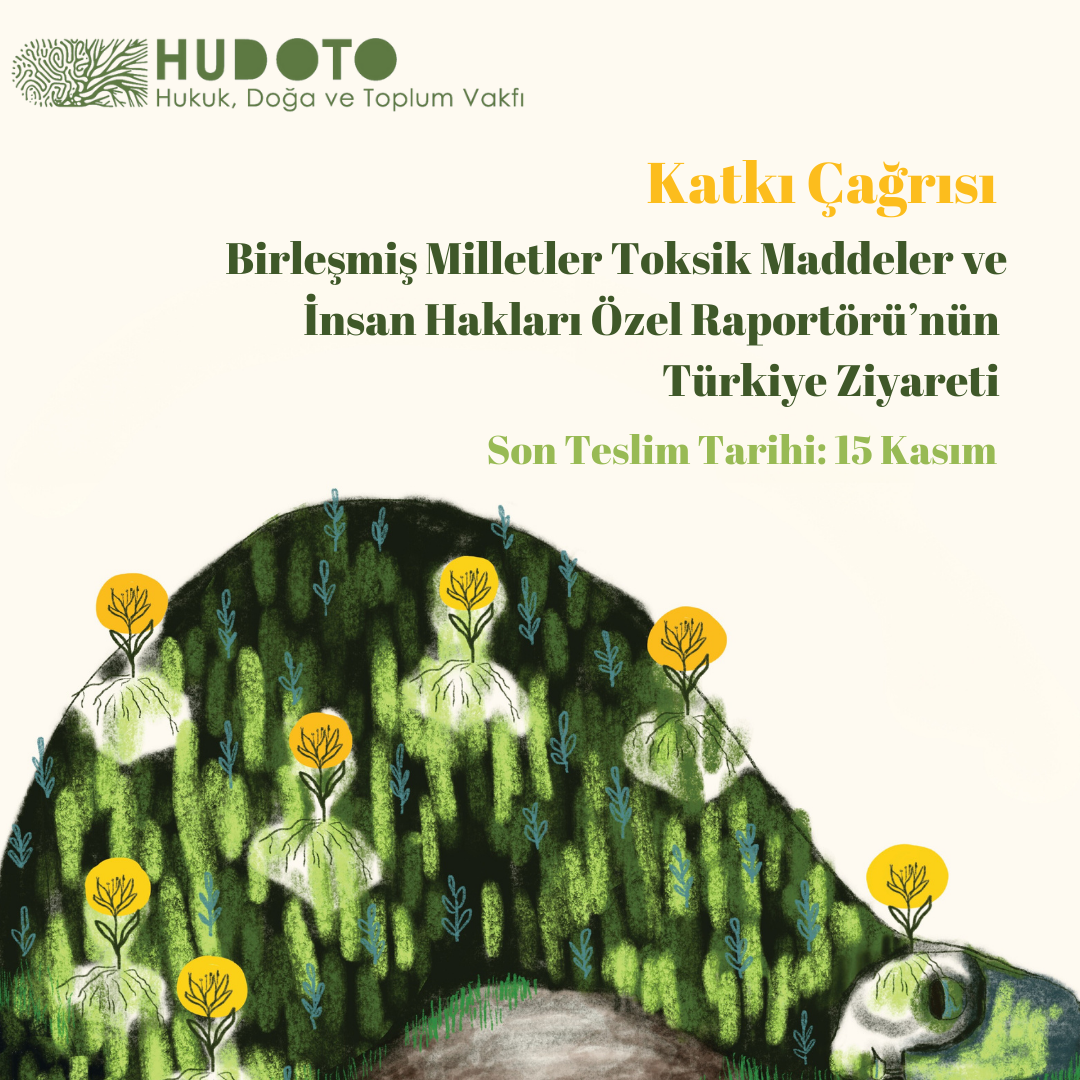 Katkı Çağrısı: Birleşmiş Milletler Toksik Maddeler ve İnsan Hakları Özel Raportörü'nün Türkiye Ziyareti (2-13 Aralık)
