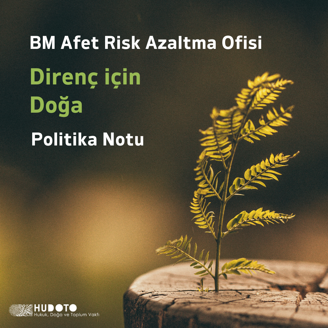 BM Afet Risk Azaltma Ofisi Politika Notu: Direnç için Doğa