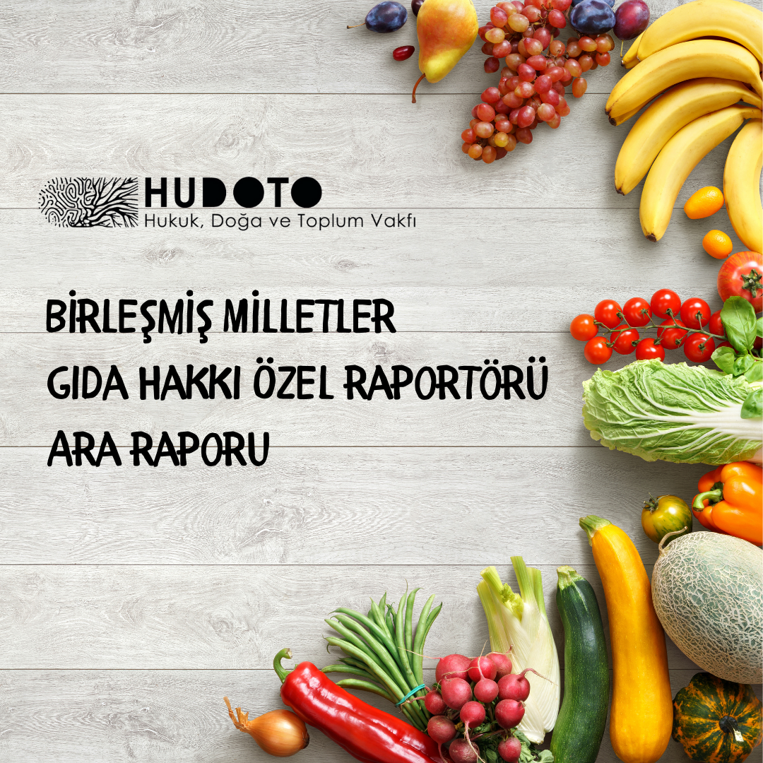 Birleşmiş Milletler Gıda Hakkı Özel Raportörü Ara Raporu